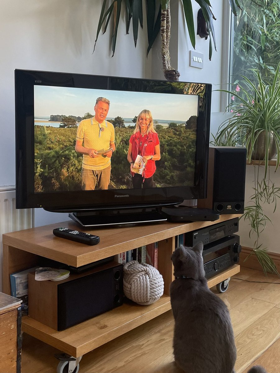 LynchDurcan's tweet photo. @BBCSpringwatch @ChrisGPackham
Loving this series.  So does my cat by the way!  He loves nature programs.  Lir is a big fan of Chris Packham #Springwatch https://t.co/keNzRcwKxk
