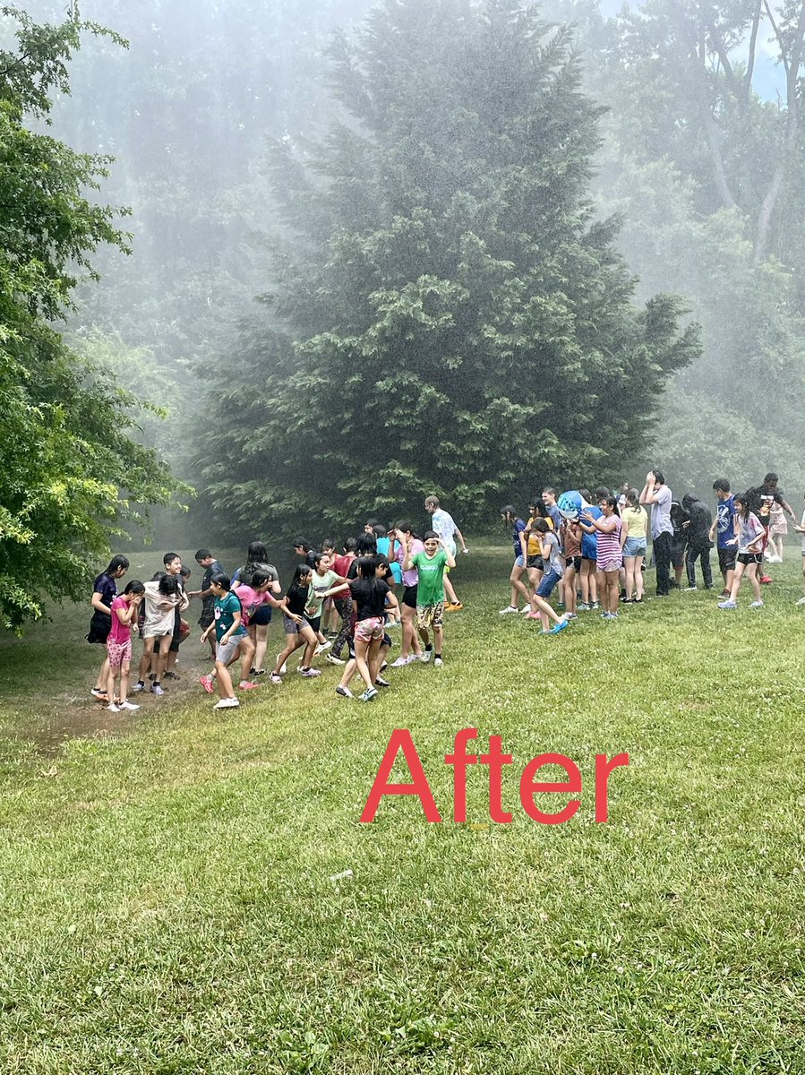 Tim Scesney tweet media