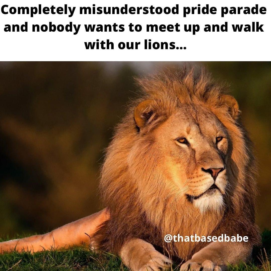 #lions #pride #leaderofthepack