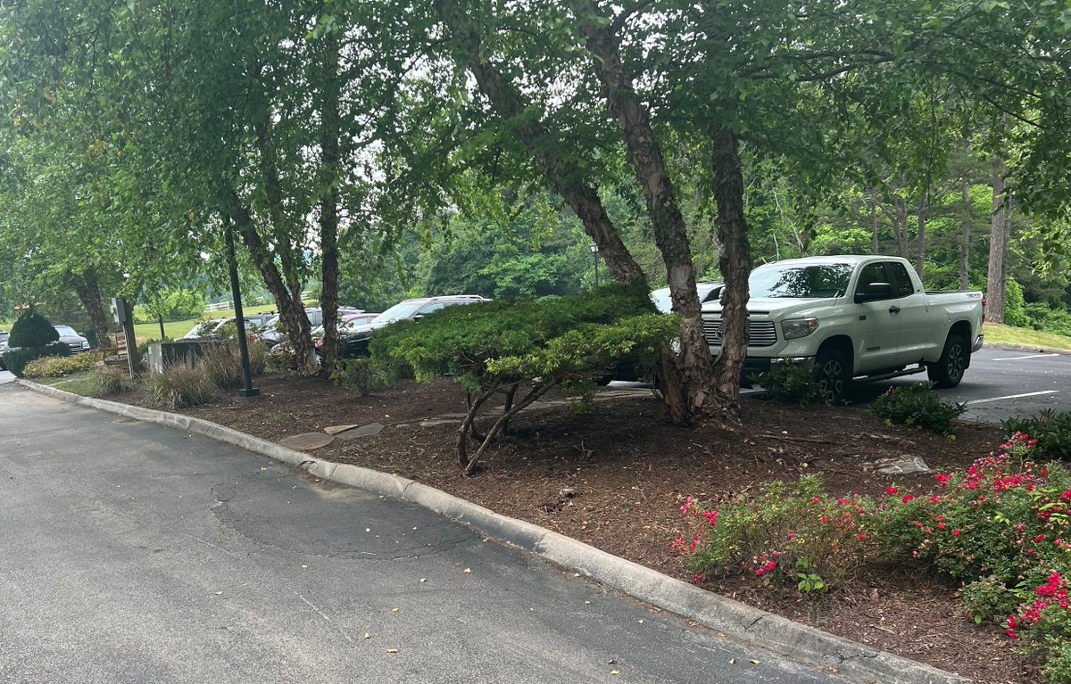 landmarkrecover's tweet image. Staff and alumni at Landmark Recovery of Knoxville got together to clean out the flower beds at the facility. What a great job from a great team!  👏 💜

#landmarkrecovery #flowers #gardening #employeeengagement #alumniengagement