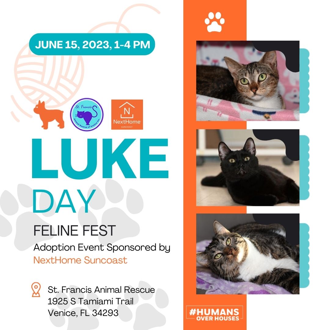 ⏳⏳⏳Countdown to Luke Day 2023! - 1 Day⏳⏳⏳

#LukeDay #animal #adoption #petadoption #cats #kittens #felines #stfrancisanimalrescue #venicefl #communityservice #Luke #HumansOverHouses #nexthome #NextHomeSuncoast
