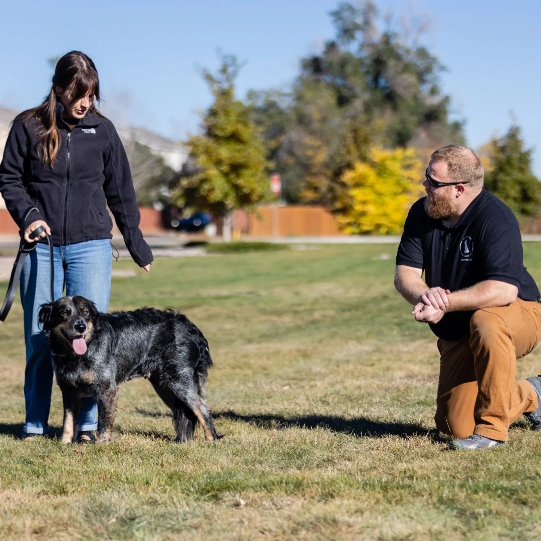 Let's ensure that you and your reactive dog get to enjoy plenty of time out in the sun with the right training to keep them calm, confident, and ready for adventure. #K9Masters #K9MastersDogAcademy #DogTraining #ObedienceTraining #K9Training #dogsofinsta #csdogtraining