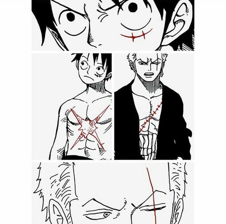 zoro and luffy