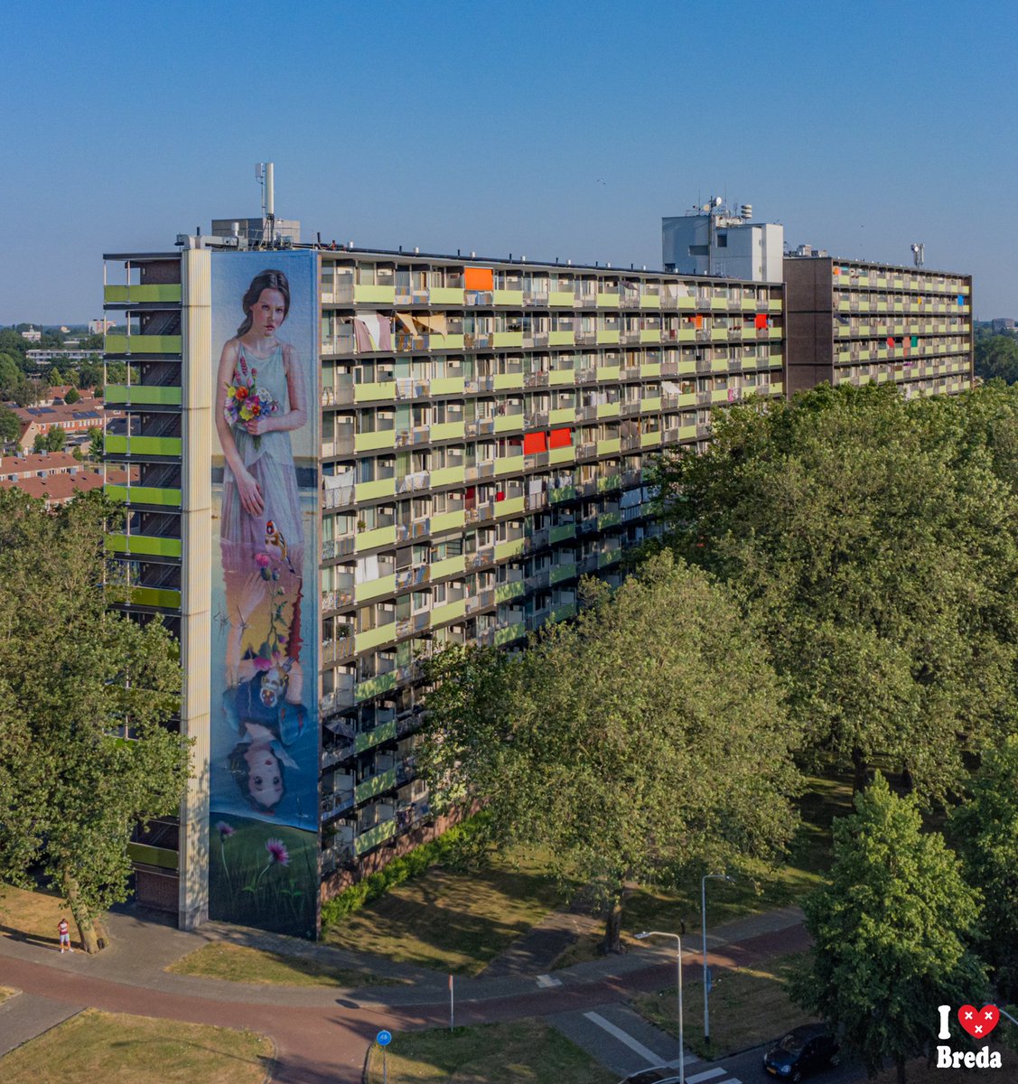 🤩 Wow! Blindwallsgallery heeft een nieuwe mural! Je vindt deze
creatie van Super A op appartementencomplex Moerwijkzicht
in de Hoge Vucht. 

#alwel #hogevucht #breda #blindwallsgallery