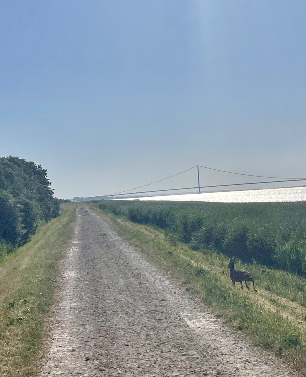 🔔 Gemma Bell 🔔 tweet media