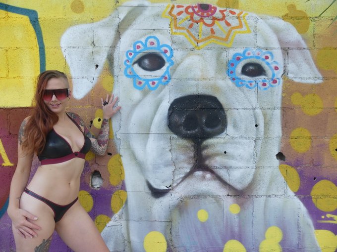 Who's a good boy? Or is it time for another #Training session? #puppy #obeyme   𝐕𝐈𝐒𝐈𝐓 ➤ https://t.co/HkVzyyfznK<a href="/tag/training"class="tags">#Training</a><a href="/tag/puppy"class="tags"><span>#puppy</span></a><a href="/tag/obeyme"class="tags"><span>#obeyme</span></a>