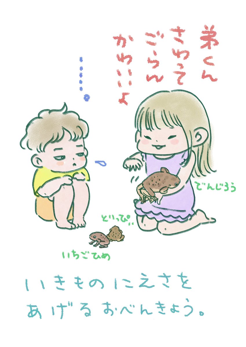 もはやなんでも触れる娘と、ヒキガエルのプヨン感に動揺し、放りだしてしまった息子。このあとお姉ちゃんの指導のもと、ミルワームをピンセットで与えることができました。 https://t.co/dZzpupVBWS