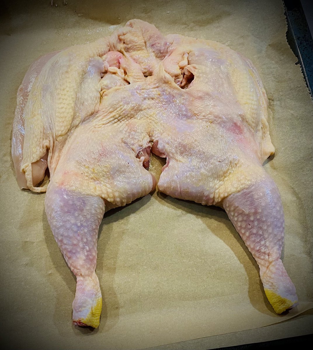 SusanNou's tweet photo. Mach disch naggisch Babe 🐔🍗und leg auch ruhig die Knochen ab… 😏… 
#frivolerFreitag ☝️Freitag gibt’s Fisch https://t.co/vMIRcHh3NT