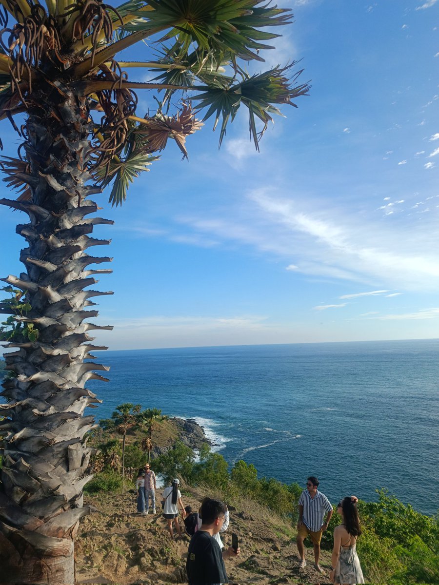 PKLS1996's tweet photo. 🌊🌴 https://t.co/IcFH2gHlJs
