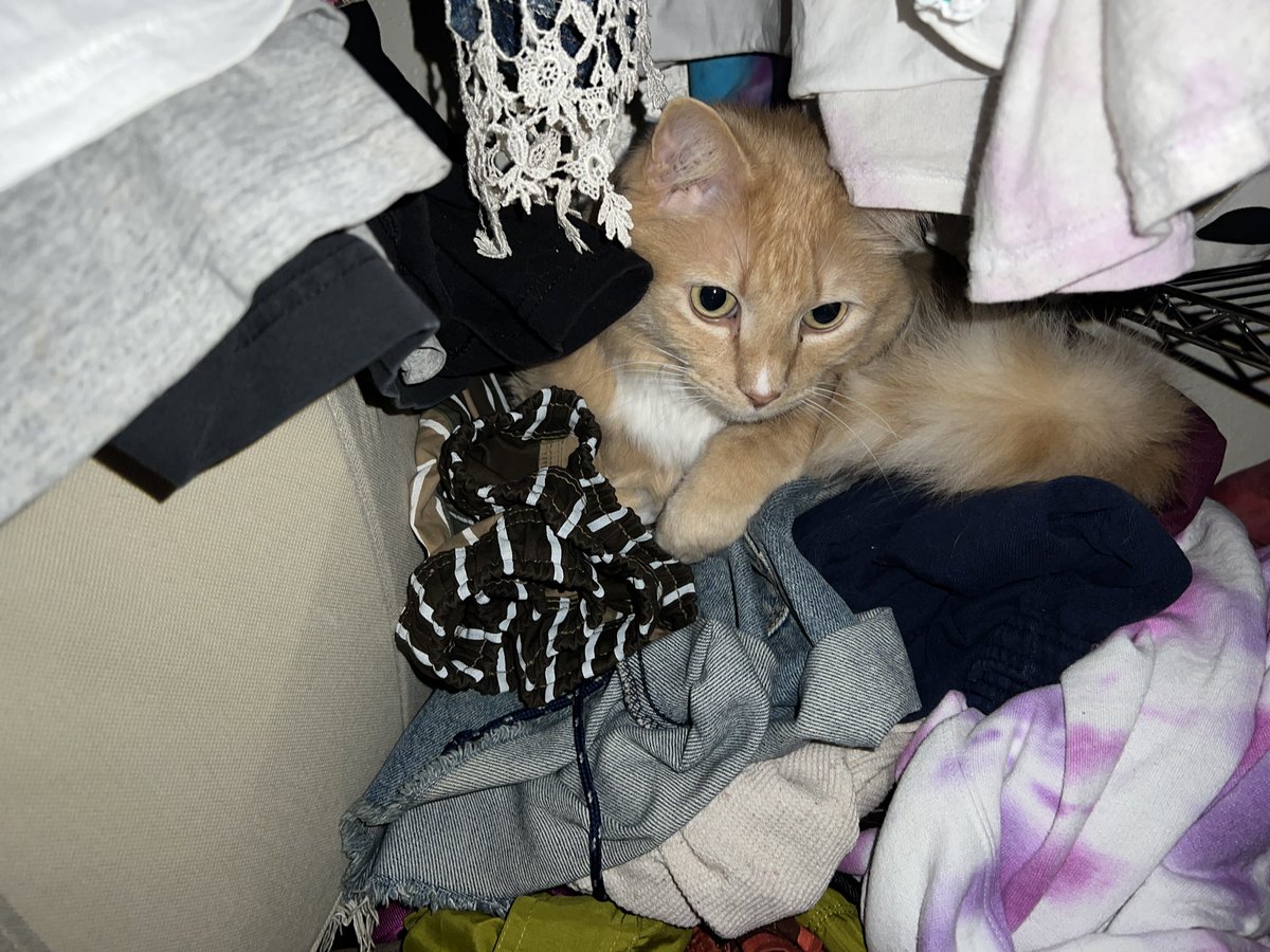 JV Marx 🦴 on Twitter "Closet case"