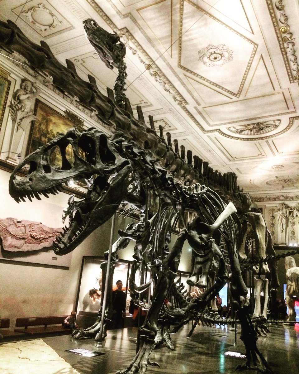 gillesdoignon's tweet photo. « Take the right decisions to avoid nature to be found only in our museums. »

Open letter by @eurotaxonomy &amp; 79 Directors of Natural History Museums &amp; Botanic Gardens to support the 🇪🇺 #NatureRestorationLaw 

https://t.co/g9JJ2PFPZ4

#restorenature #NatureRestoration #fornature https://t.co/3njKWvCEqF