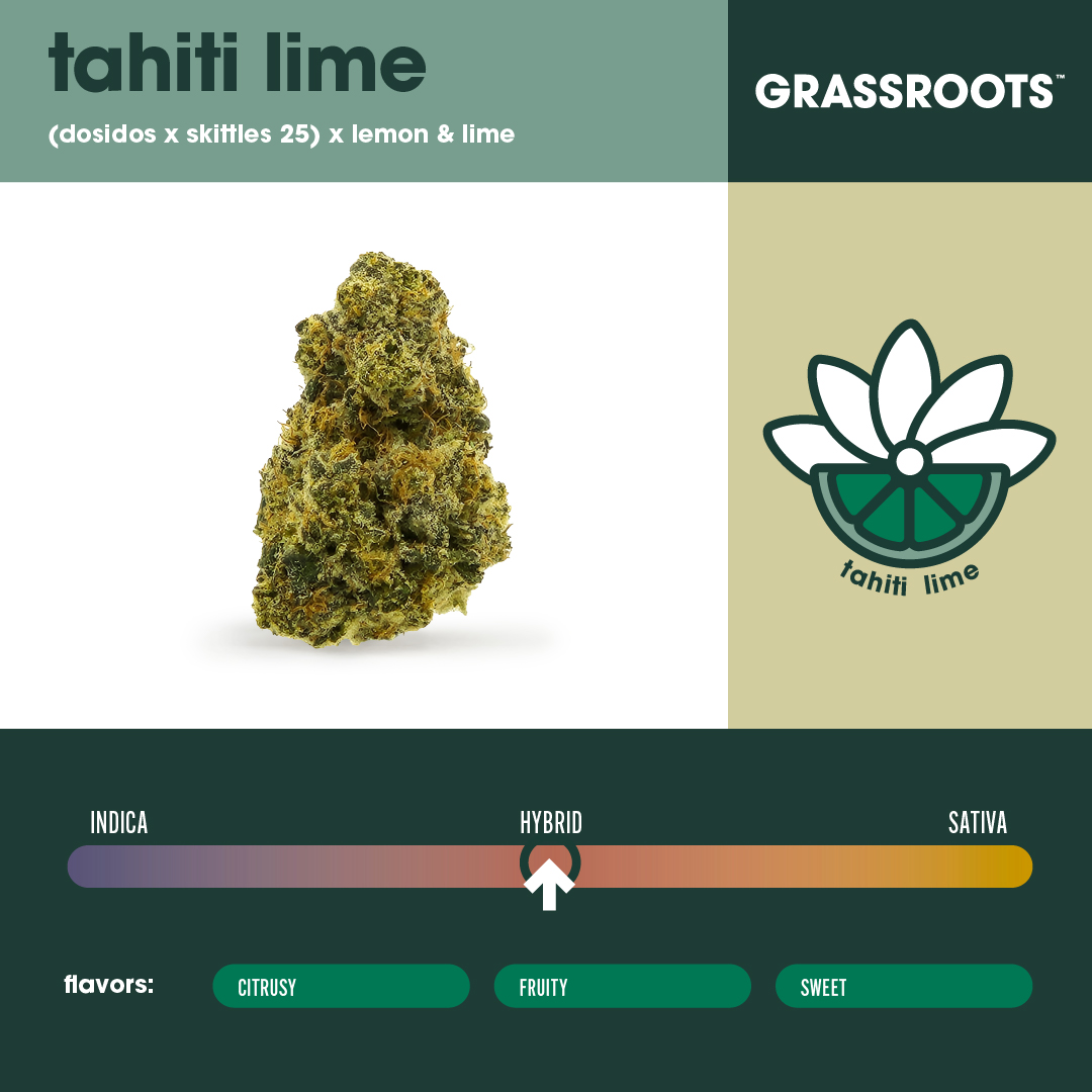 Curaleaf_Inc's tweet photo. Bring the islands to you with Grassroots Tahiti Lime, a cross between dosidos x skittles 25 and lemon &amp; lime. This true hybrid cultivar is flavorful with notes of citrus and fruits. 

Grassroots is available in AZ, FL, IL, MA, MD, NV, NJ, NY, ND, and PA. https://t.co/Pmvptp6E8K