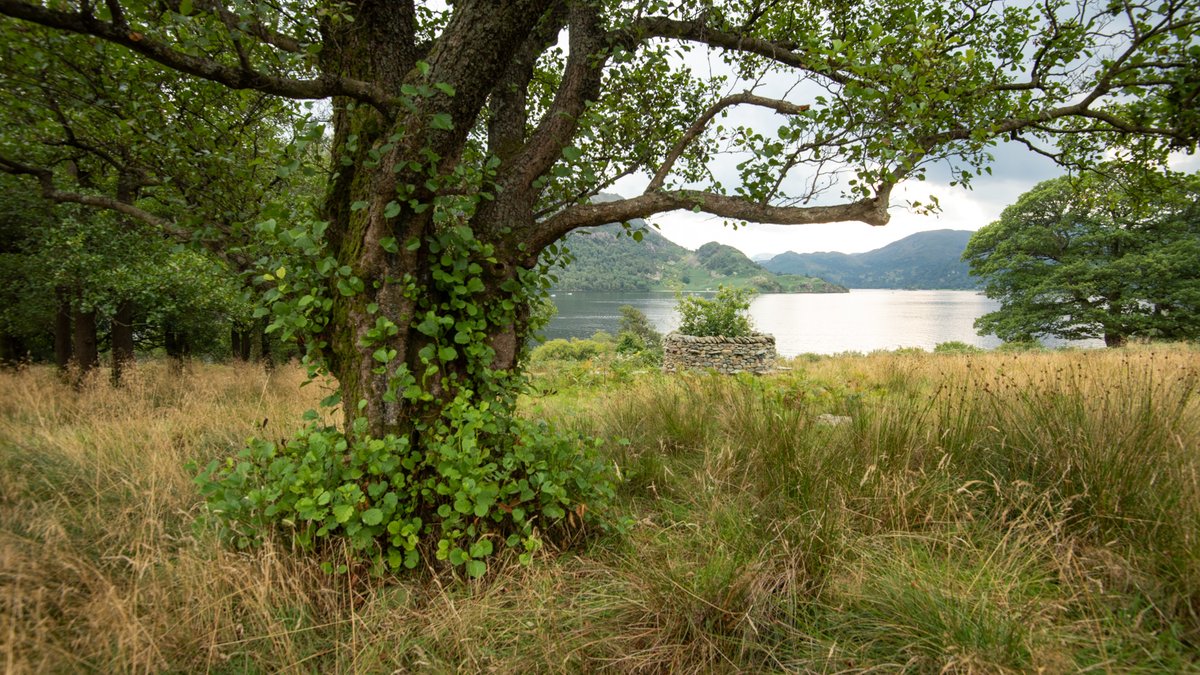 July 1st - Ullswater Valley. 
Join us on this gentle walk and boat ride as part of the Watershed project. 
Free - but booking essential as only 8 places available.
There will be poetry and wide-ranging conversations about place.

Click to find out more:
watershed_walk.eventbrite.co.uk