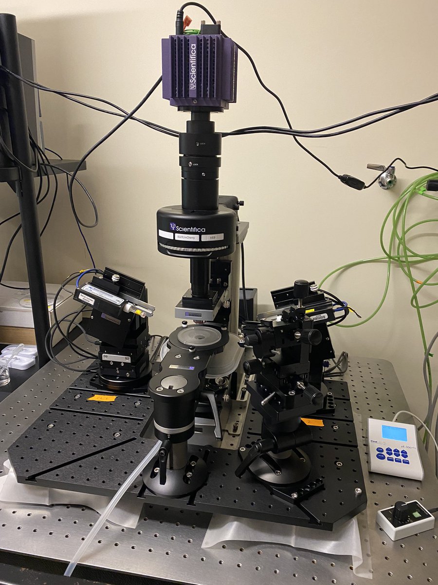 @Scientifica_Int @MBLScience We love @MblNeuro ! Can’t wait to see what this year’s cohort will accomplish using this rig.