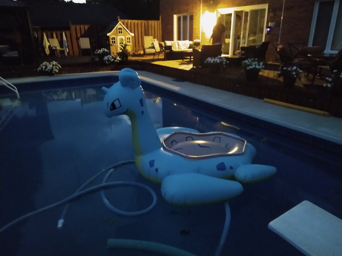 It's kinda sad I haven't taken more pics of her. Perhaps next time I take her out I will
#lapras #float #poolfloat