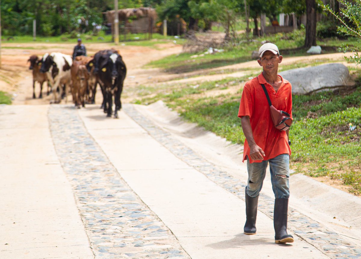 Chris_bermudezb's tweet photo. En zona rural de Riohacha hay comunidades que viven del campo, con el reconocimiento a campesinos como “sujetos especiales de derechos” que fue aprobado en el #Congreso, compromete al Estado a garantizar sus derechos fundamentales para mejorar su calidad de vida. Abro hilo🧵 https://t.co/2EICRCEnxM