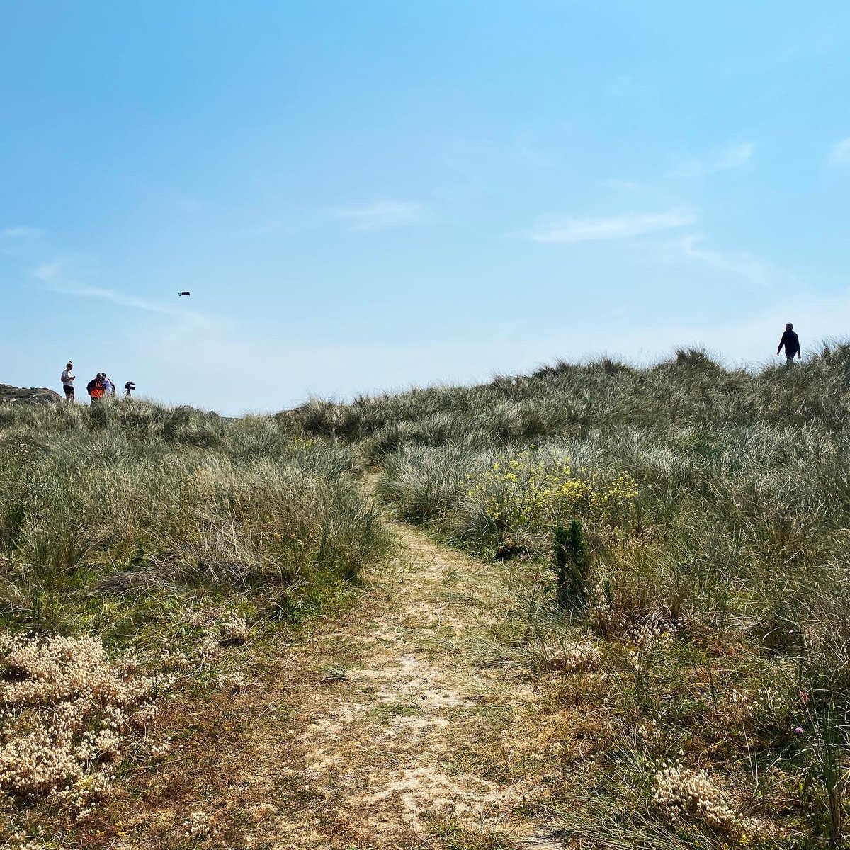 What a week for some #aerial #filming with <a href="/AffinityPW/">Affinity Private Wealth</a>

Some great shots captured among the sand dunes of <a href="/VisitJerseyCI/">Visit Jersey</a>’s west coast.

<a href="/BamPerspectives/">Bam Perspectives</a>
@3ci_TV_film
<a href="/Mighty_Bouch/">MightyBouch</a> 
<a href="/Marc128/">Marc Le Cornu</a> 
<a href="/3Ci_Tom/">3C International</a> 
<a href="/CaraMVibert/">Cara Faudemer</a> 

#creative #communication #content #comingsoon
