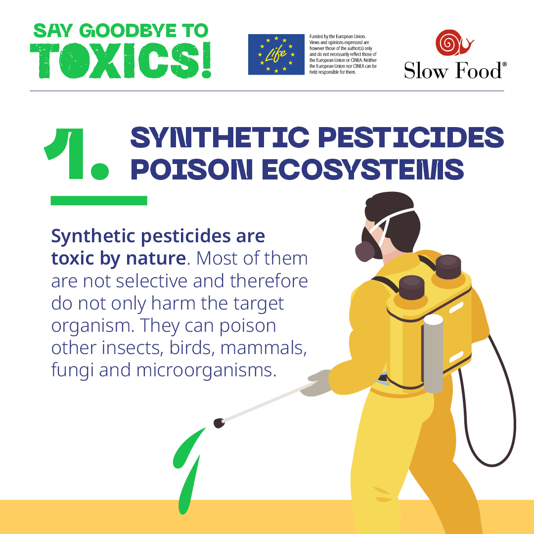 Slow Food tweet media