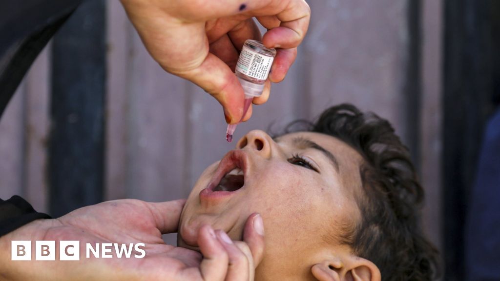 FerrerMafehn's tweet image. Super-engineered vaccines created to help end polio follow &amp;amp; rt #bbchealth dlvr.it/SqgSS3