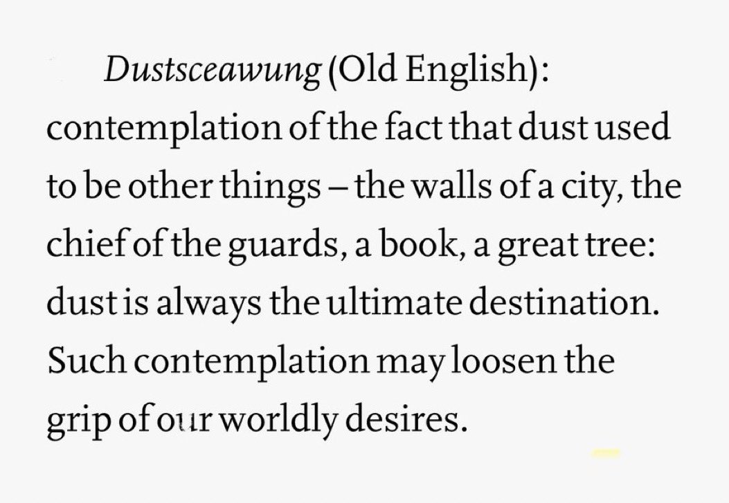 Still not over this Old English word, which feels like an entire philosophy in itself. From dūst (“dust”) + sċēawung (“inspection, contemplation”). I wrote a piece about it for @GuernicaMag last year ✨