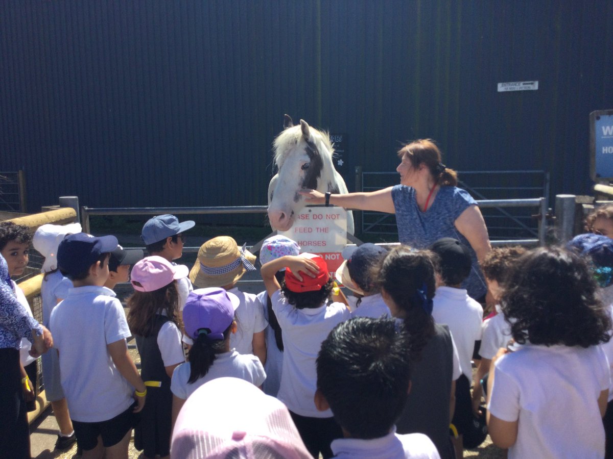 1RMc had a fabulous time at the farm today 🚜 Thank you for having us <a href="/acornfarm1/">Acorn Farm</a> ☀️ #smithdownextra #smithdowngeog