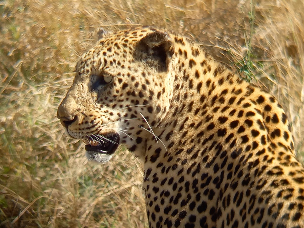 Wildlife Ecology Lab tweet media