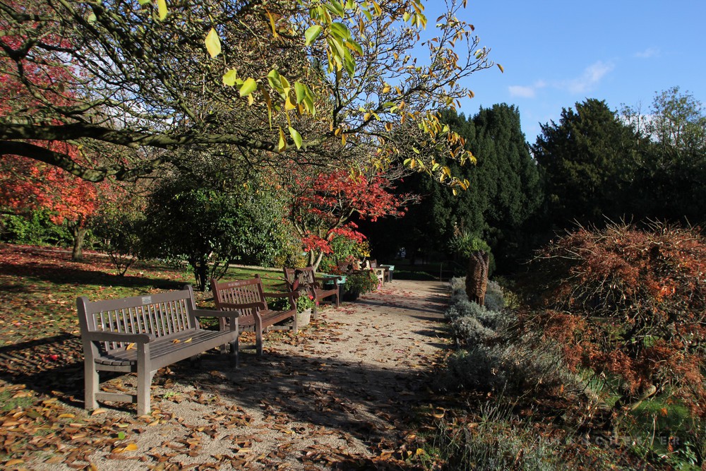 Screen_Mcr's tweet photo. Fletcher Moss Park in South Manchester is one of the parks featured in our locations database. In 1919 Alderman Moss donated Fletcher Moss  to the people of Manchester. 

#screenmcr #manchester #fletchermoss https://t.co/sjbHtTEv7Q