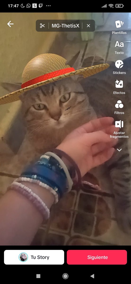 Nata la birras (Taylor’s version) tweet media