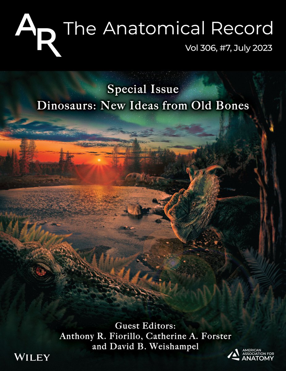 We're thrilled to announce the publication of an exciting Special Issue on dinosaurs🦖, edited by @Paleo_Fiorillo, Cathy Forster & David Weishampel, honoring Peter Dodson, including new species, evolutionary relationships, muscular reconstructions & more! anatomypubs.onlinelibrary.wiley.com/toc/19328494/2…