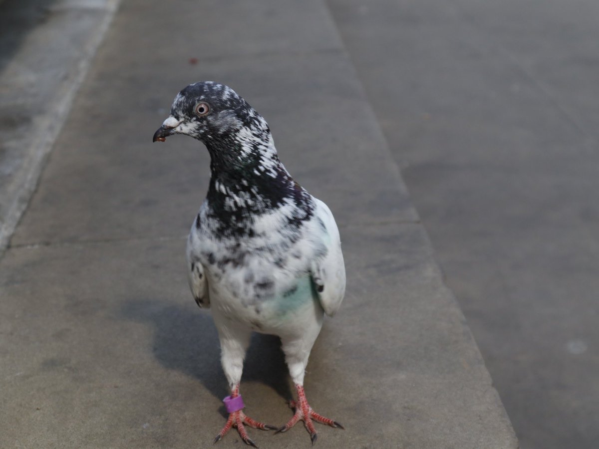 Is she a model ? Who IS she?