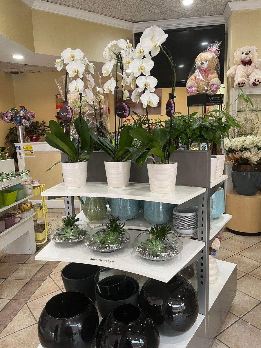 ShopSquare1Mall's tweet photo. Father's Day Flowers and more at Dalia's Flowers on the upper level next to EbLens. https://t.co/I8wJ27VlRk
