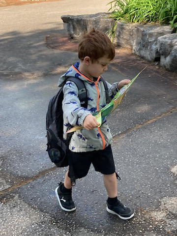 NorthEasthopePS's tweet image. Our littlest Eagles are having a blast today exploring at African Lion Safari! Thanks to our Outdoor Ed Grant for helping to keep the costs down! @yourschools #somuchfun #outdooredgrant #exploringtogether 🦅😊🦍🐘🦒