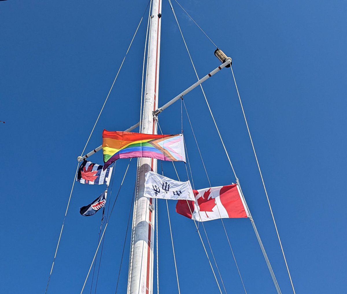 Maverick V tweet media