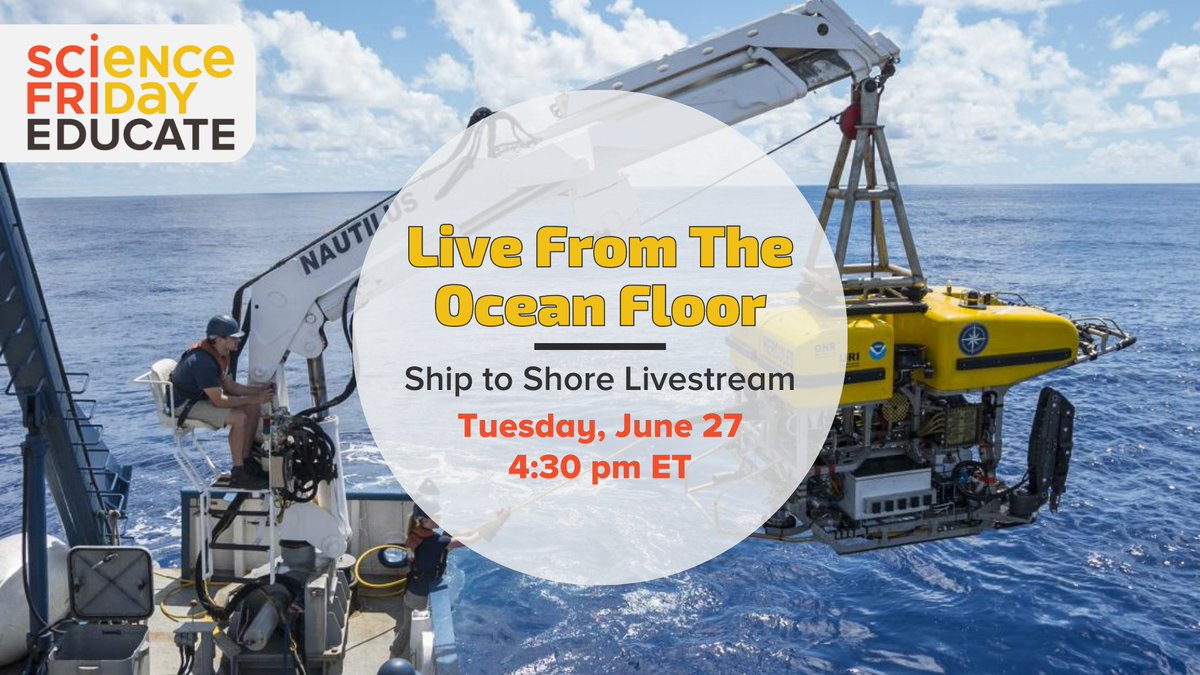 Sandy Roberts 🧪🛠💡 tweet media