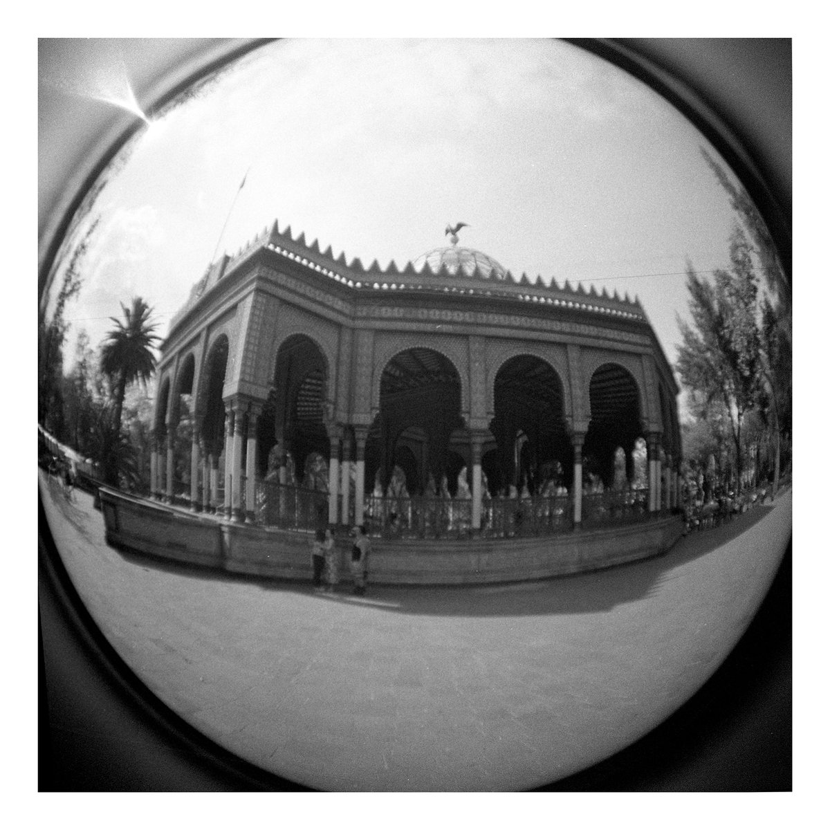 #filmphotography #shotonfilm #berggerfilm #berggerpancro #lomography #santamarialaribera #CDMX #mexico