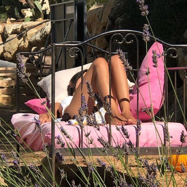 HELL0CUNTY's tweet photo. I need an outdoor bed so I can rot in bed but still sunbathe https://t.co/gCDzs8dZOW