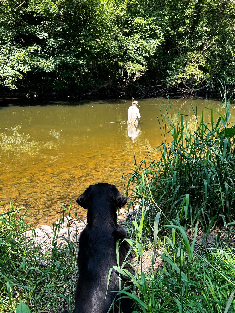 Back eddy feeders that ate everything and nothing, a ton of beetles but no wind, lifting into a good fish and nothing there, seeing your pal make an awesome cast and the fish rise, just talking and sometimes, not always, ignoring a rise. 
One of those good days.