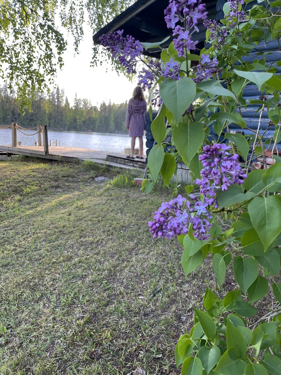 Kesäillan rauha 💜 #kesä#ranta#suomensuvi#maaseutu