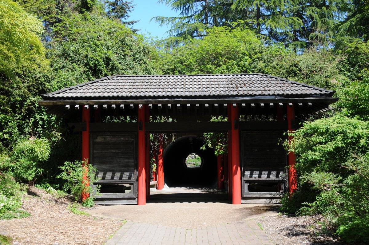 🚩UBC Botanical Gardens, British Columbia, Canada. 

#travel #explorebc #vancouver #ubc #myvancouver #botanicalgardens #letsgoadventuring