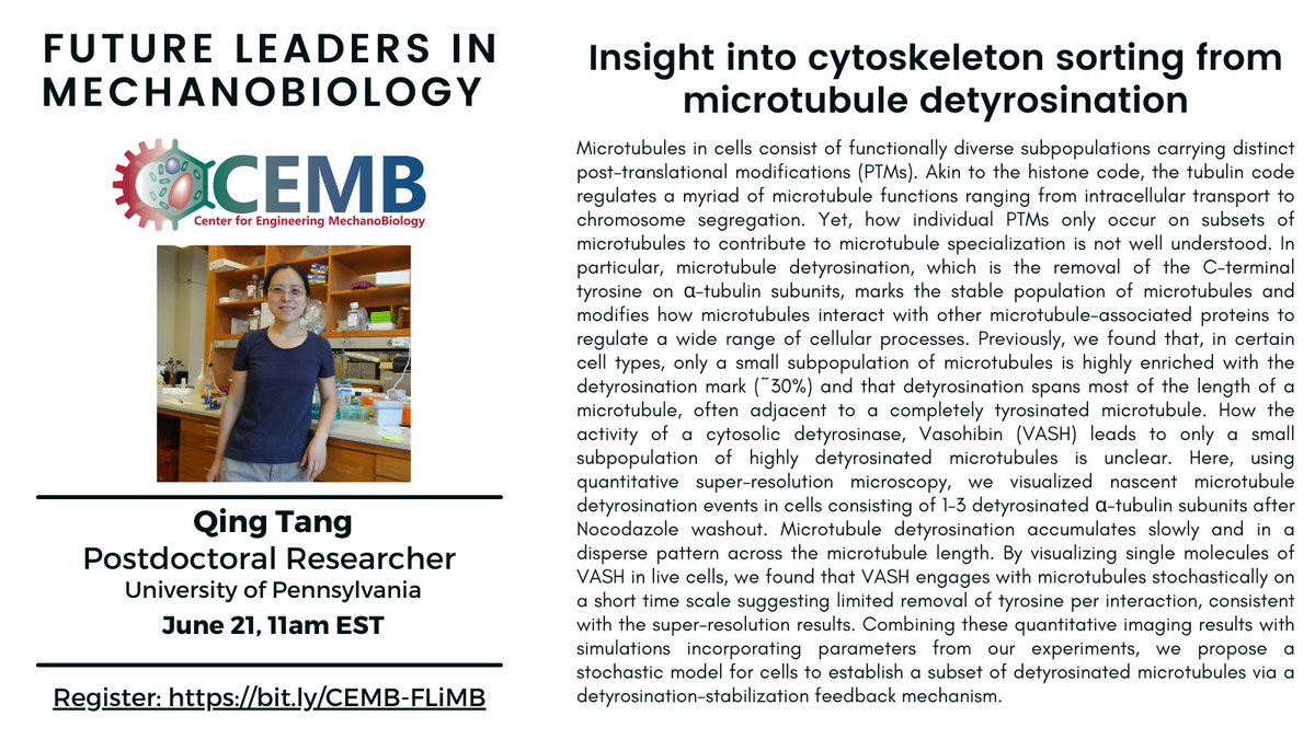 CEMB_STC's tweet photo. Join us next Wed. @11am ET for our final Future Leaders in #Mechbio of the semester! Qing Tang (@Melike_Lak lab, @Penn) will discuss: "Insight into cytoskeleton sorting from microtubule detyrosination."
Want to present in the Fall? Nominate yourself here: https://t.co/PxWIjEm4gN https://t.co/bfJfwIXsn7