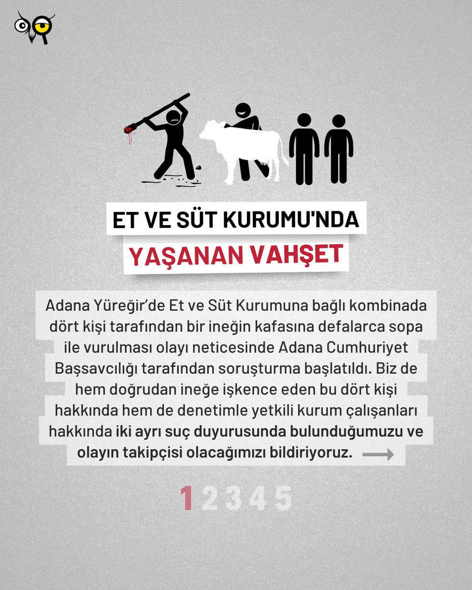 Adana Yüreğir’de Et ve Süt Kurumuna bağlı kombinada dört kişi tarafından bir ineğin kafasına defalarca sopa ile vurulması olayı ile ilgili olarak hem doğrudan ineğe işkence eden bu dört kişi hakkında hem de denetimle yetkili kurum çalışanları hakkında iki ayrı suç duyurusunda…