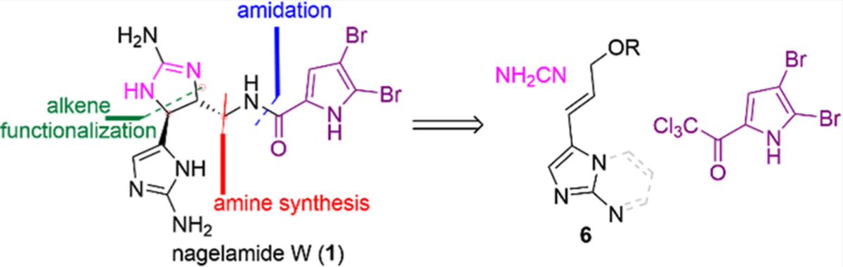 TotalSynthesis's tweet photo. #TotalSynthesis of Nagelamide W by Dare E. George @dare_george_ and Jetze J. Tepe @jetze_tepe @Tepe_Lab at @MSUChem in @JOC_OL https://t.co/AYrbIveJHW https://t.co/m9jFwbUaV3