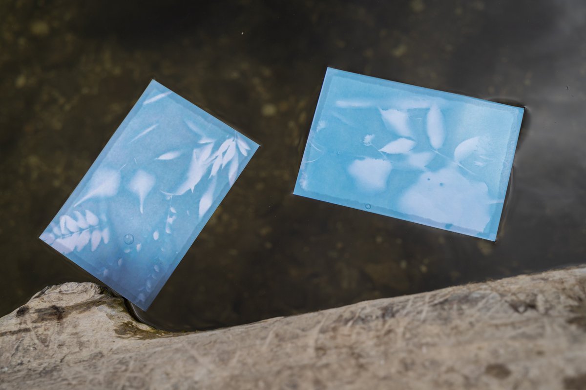 wessexarch's tweet photo. Where does art, archaeology, ecology and wellbeing connect? Watch 'Beneath the surface of the Ripple Effect' on our YouTube to find out! @EnvAgencySW @jamesaldridge4 @wiltscouncil
Click the link: https://t.co/hE7ZQ4SMyE
#riverlife https://t.co/Z2nOaEXil8