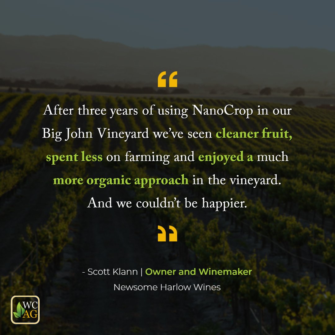 WCAProducts's tweet image. Don&apos;t take our word for it—our customers say it best! 🌱 Check out what this farmer had to say about his NanoCrop experience. Read more from growers who’ve made the switch ➡️ bit.ly/43H1vYa

#biologicals #integratedpestmanagement #organicpestcontrol #viticulture