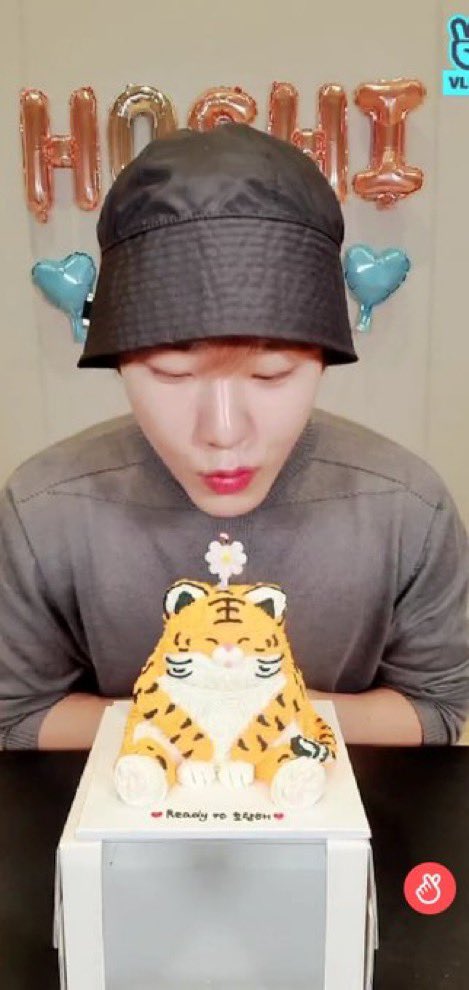 svtasanimaIs's tweet photo. hoshi as a tiger (birthday edition)

#대한민국의_마지막호랑이_호시날
#ILUVmyHOSHIday https://t.co/f0fytDgFCm