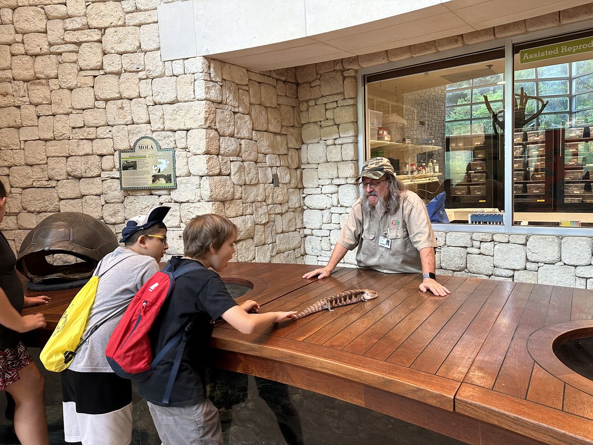 Emily Rudd tweet media