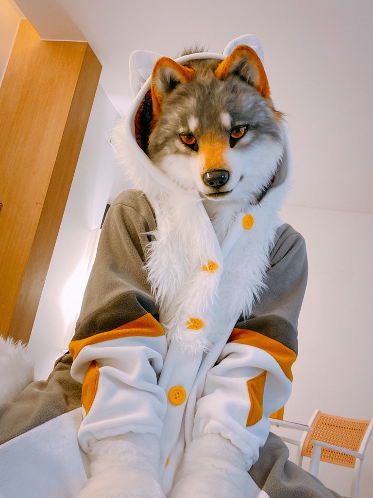 jeongambro's tweet photo. i'm above you😈
#furry #Fursuit https://t.co/eRRrH7tP2N