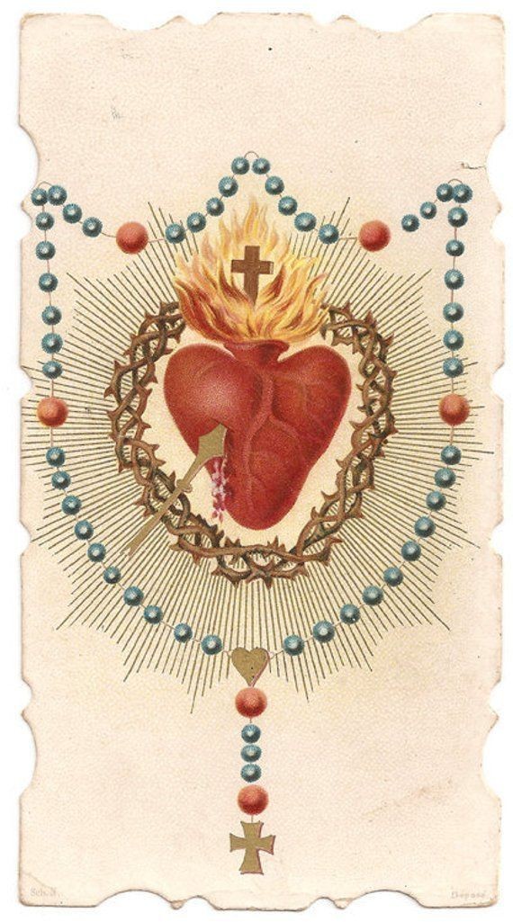 A_Paz_de_Cristo's tweet photo. Rezemos por nossa Terra de Santa Cruz:
#Dia181
Ave-Maria, cheia de graça, o Senhor é convosco, bendita sois vós entre as mulheres e bendito é o fruto do vosso ventre, Jesus. Santa Maria, Mãe de Deus, rogai por nós pecadores, agora e na hora da nossa morte. Amém.✝️ https://t.co/pC1ERnhhpX