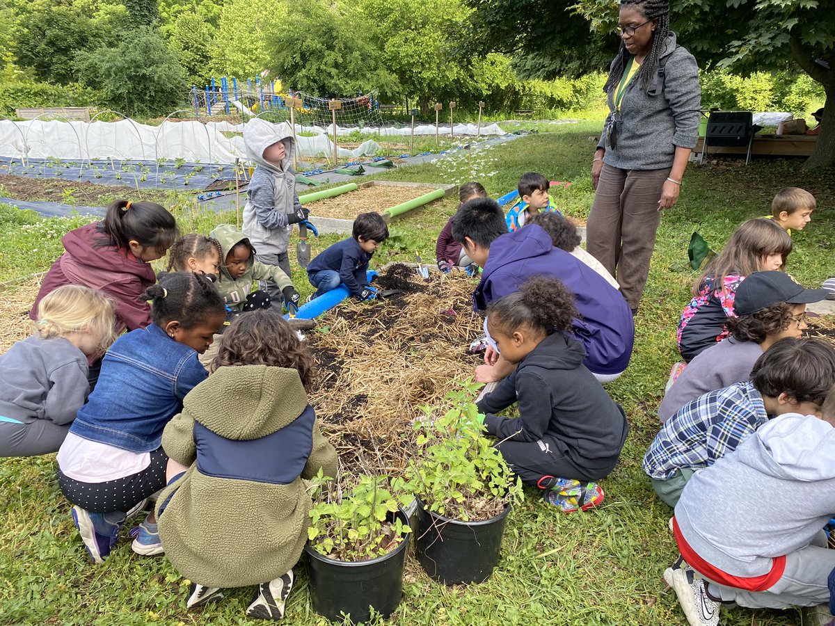 HabermellM's tweet photo. 🌱 "Nurturing a Greener Future" 🍅
Three Valleys students are wrapping up their school year with an exciting workshop at our neighbouring Urban Farm. Today, they are planting seedlings to combat food inflation one plant at a time. Huge thanks to Anelia and Melodie! #threevalleys https://t.co/JNPztJKMGq