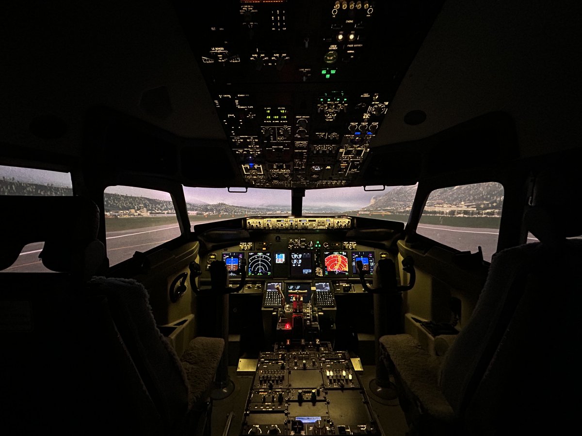 SimFlying tweet media